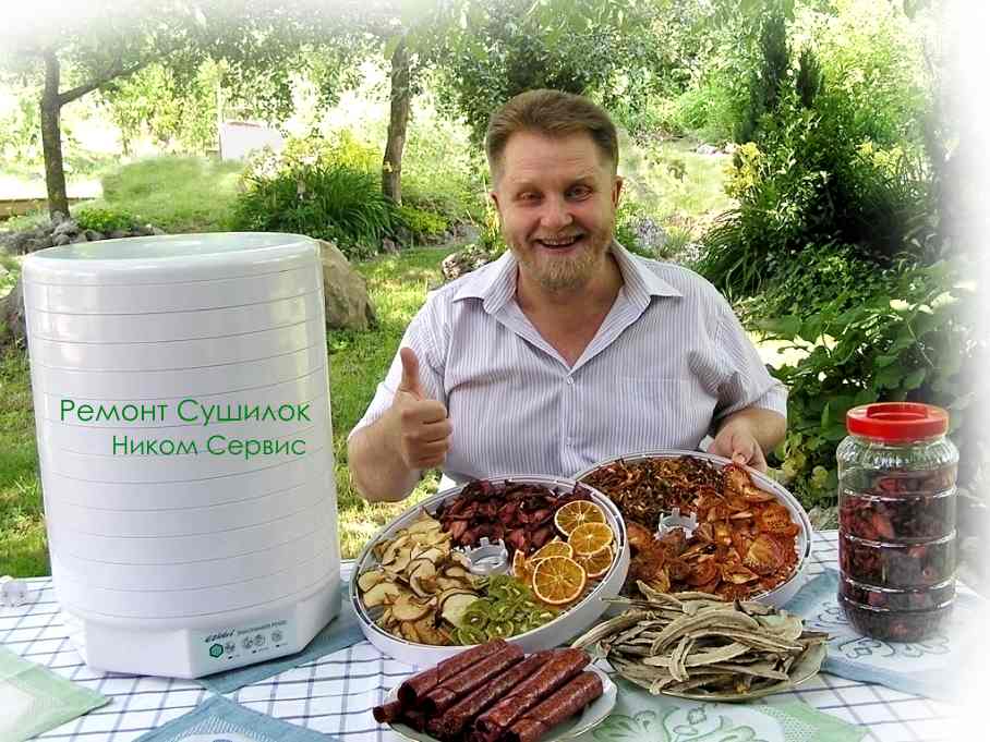 Ремонт сушилок для овощей и фруктов в Борисове